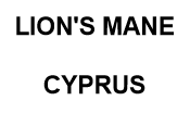 lion's mane cyprus